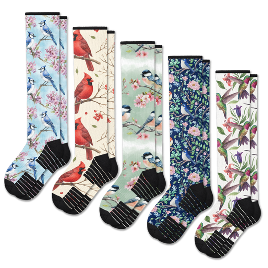Backyard Birds Compression Socks 5-Pack Bundle
